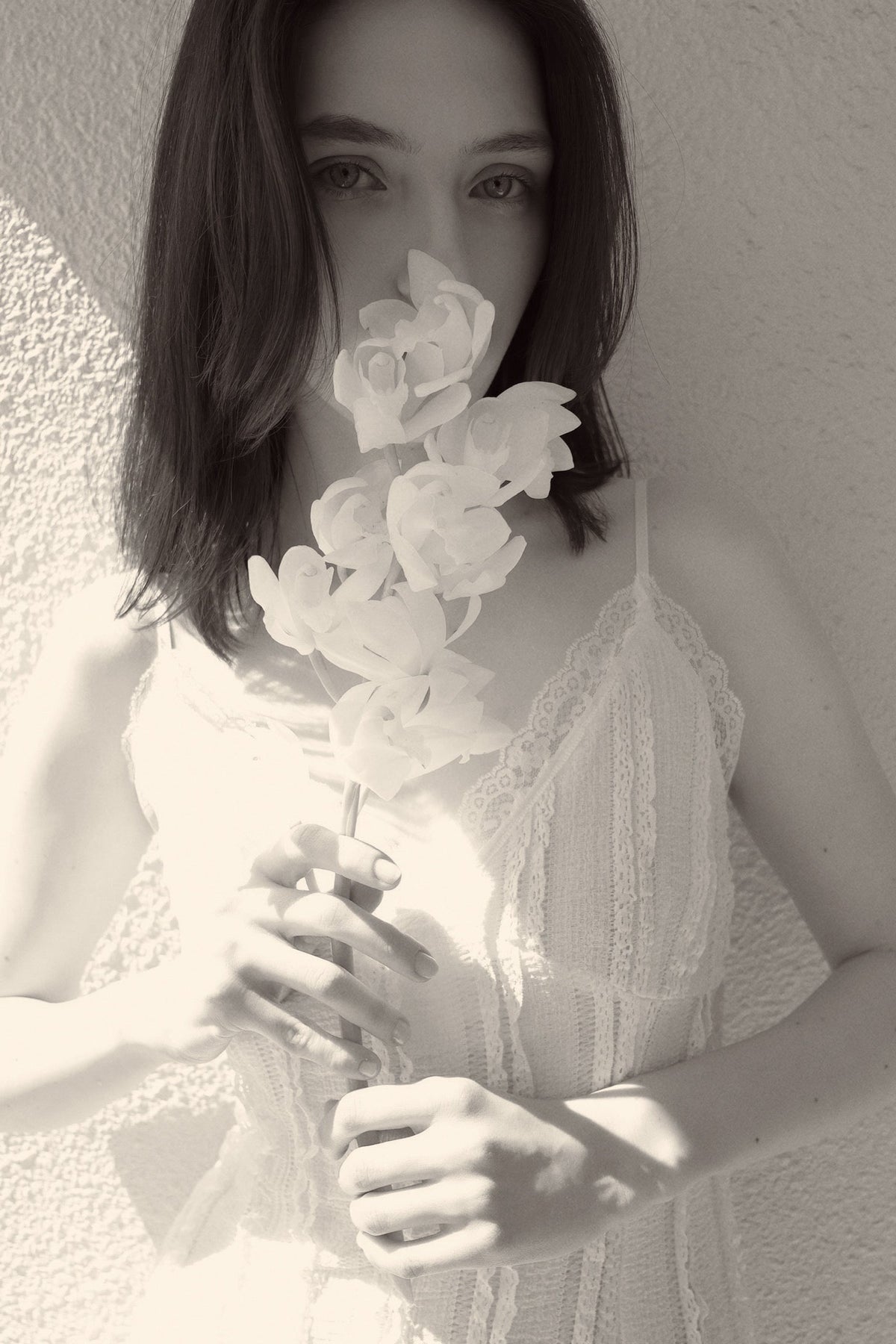 3/18(水)新規発売のお知らせ