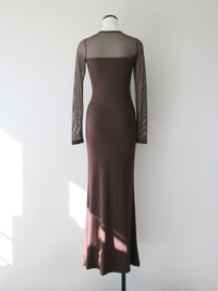 soft sheer neck maxi dress