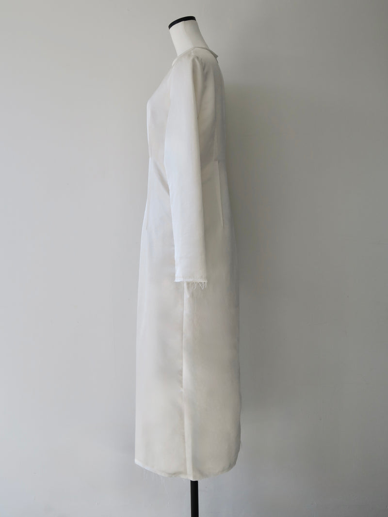 darted luster dress