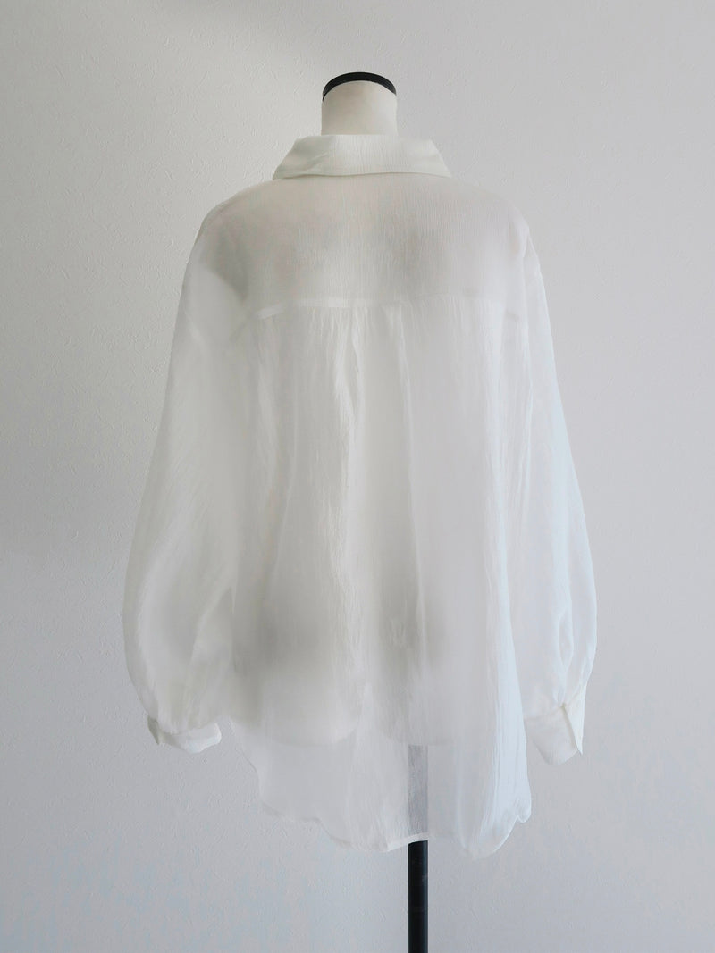 shiny sheer shirt