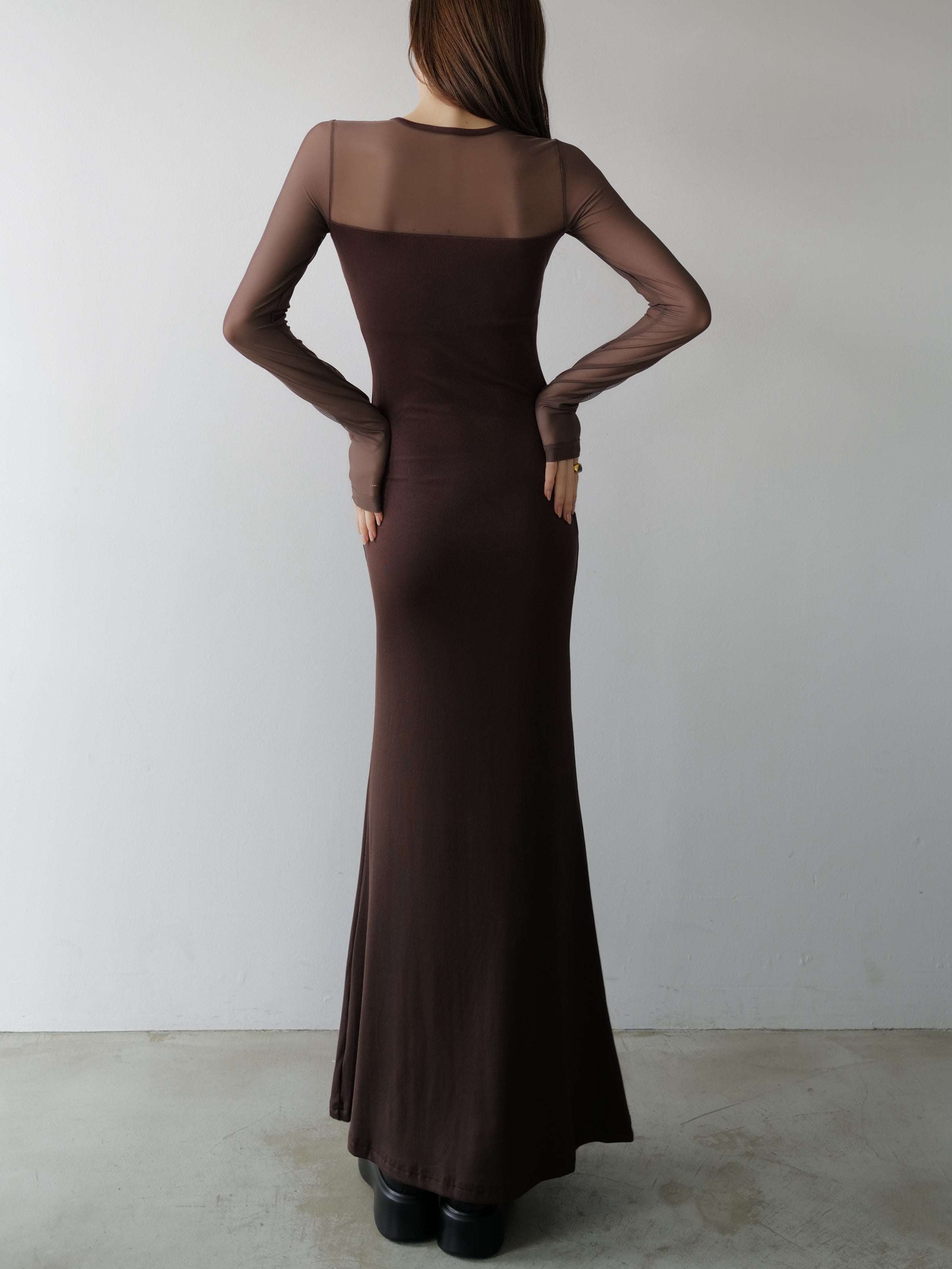 soft sheer neck maxi dress